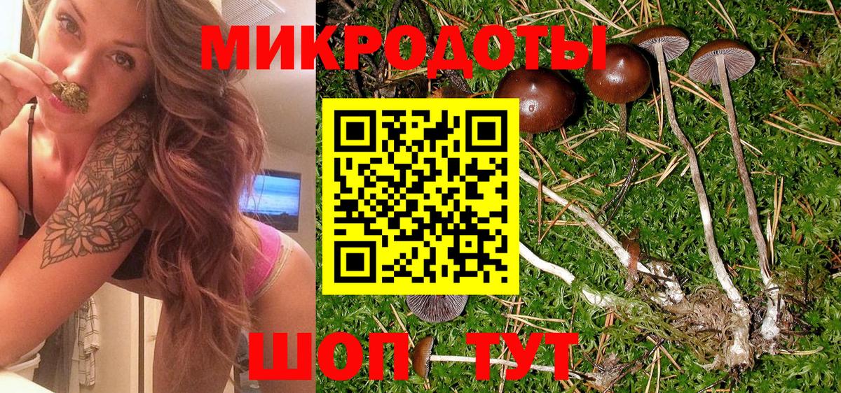 Псилоцибиновые грибы ЛСД Заводоуковск