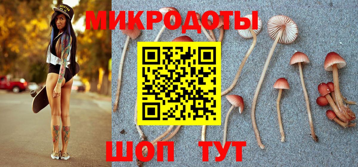 Псилоцибиновые грибы Cubensis  Галлюциногенные грибы Psilocybine cubensis  Заводоуковск  Вход с VPN 